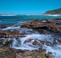 Wyrrabalong National Park - Yamba Accommodation