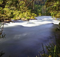 Nymboi-Binderay National Park - Yamba Accommodation