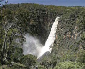 Dorrigo NSW Yamba Accommodation