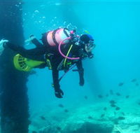 Shellharbour Scuba  Photography Centre - Yamba Accommodation