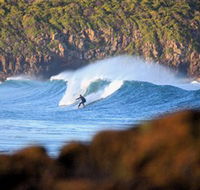Killalea Beach - Yamba Accommodation