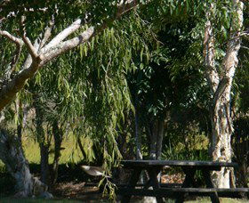 Doubtful Creek NSW Yamba Accommodation
