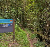 Red Cedar loop - Yamba Accommodation