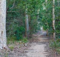 Delta track - Yamba Accommodation
