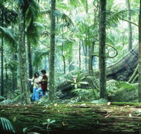 Illinbah circuit - Yamba Accommodation