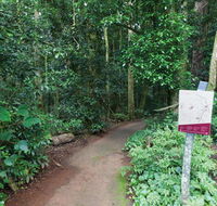 Walk with the Birds boardwalk - Yamba Accommodation