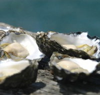 Jim Wilds Oyster Service - Yamba Accommodation