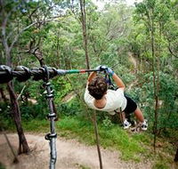 TreeTop Challenge - Yamba Accommodation