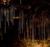 Tamborine Mountain Glow Worm Caves - Yamba Accommodation