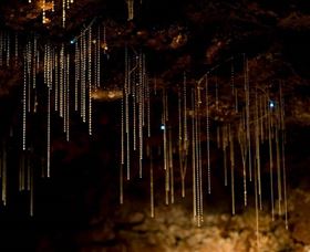 Tamborine Mountain Glow Worm Caves - Yamba Accommodation 0