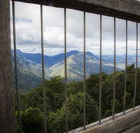 Dorrigo Rainforest Centre - Yamba Accommodation