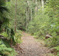 Lake walking track - Yamba Accommodation