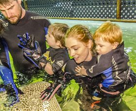 Bobs Farm NSW Yamba Accommodation