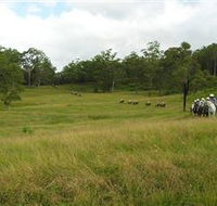Numinbah Valley Adventure Trails - Yamba Accommodation