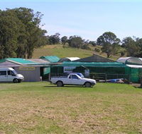 Tinonee Orchid Nursery - Yamba Accommodation