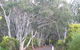 Booderee National Park: Munyunga Waraga Dhugan Walking Trail - thumb 3