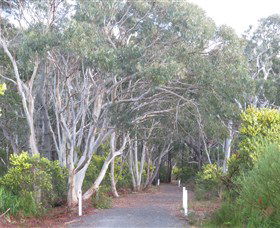 Booderee National Park: Munyunga Waraga Dhugan Walking Trail - Yamba Accommodation 3