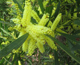 Booderee National Park: Munyunga Waraga Dhugan Walking Trail - Yamba Accommodation 1
