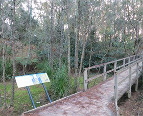 Booderee National Park: Munyunga Waraga Dhugan Walking Trail - Yamba Accommodation 8