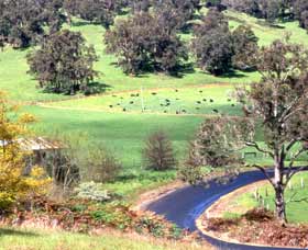 Blackwood River Tourist Drive - Yamba Accommodation 0