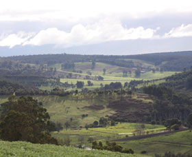 Blackwood River Tourist Drive - Yamba Accommodation 2