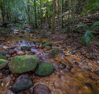 Starrs Creek picnic area - Yamba Accommodation