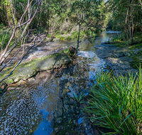 Dawson River walking track - Yamba Accommodation