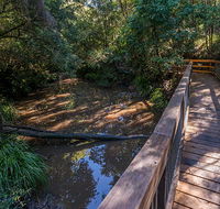 Ms Kellys walking track - Yamba Accommodation