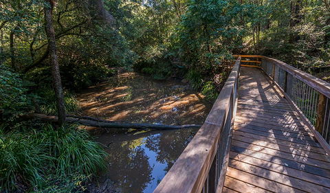 Ms Kellys Walking Track - Yamba Accommodation 0