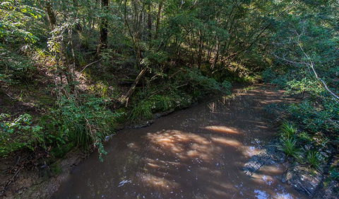 Ms Kellys Walking Track - Yamba Accommodation 2