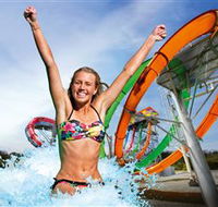 Wet'n'Wild Gold Coast - Yamba Accommodation
