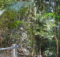 Goorgana walking track - Yamba Accommodation