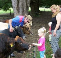 Crystal Creek Miniatures - Yamba Accommodation