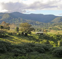 Mount Nardi picnic area - Yamba Accommodation