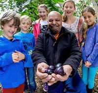 Wigay Aboriginal Culture Park - Yamba Accommodation