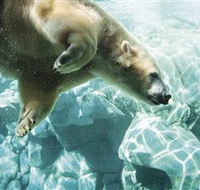 Australia's Sea World - Yamba Accommodation