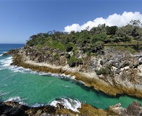 North Gorge Walk - Yamba Accommodation 3