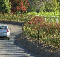 Cassegrain Wines - Yamba Accommodation