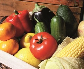 Summerland House Farm - House With No Steps - Yamba Accommodation 1