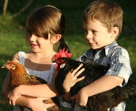 Summerland House Farm - House With No Steps - Yamba Accommodation 2