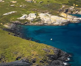 Montague Island Nature Reserve - Yamba Accommodation 1