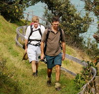 Illaroo to Wooli walking track - Yamba Accommodation