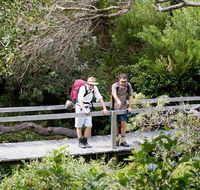 Wilsons Headland walking track - Yamba Accommodation