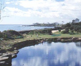 Angourie Blue Pool - Yamba Accommodation 1