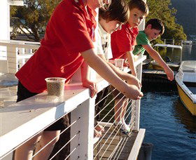Dunbogan Boatshed - Yamba Accommodation 3