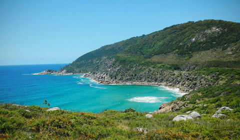 Arakoon National Park - Yamba Accommodation 0