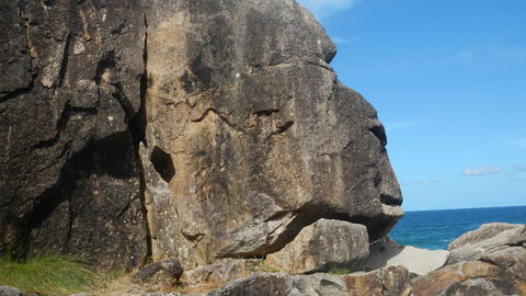 Arakoon National Park - Yamba Accommodation 1