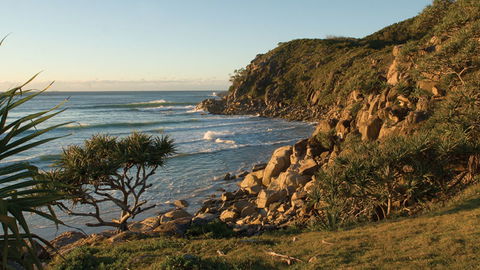 Arakoon National Park - Yamba Accommodation 2