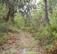 Kinchela Trig Lookout walk - Yamba Accommodation