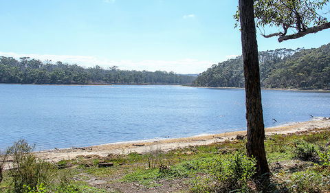 Middle Lagoon Walking Track - Yamba Accommodation 1